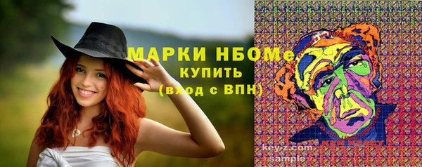 apvp Алексин