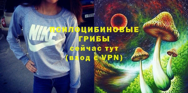 МДПВ Алексеевка