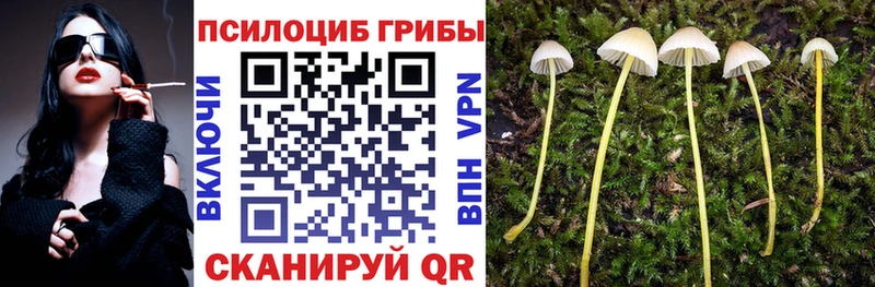 наркошоп  Пущино  Псилоцибиновые грибы GOLDEN TEACHER 